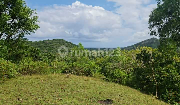Hot List Di Jual Tanah View Laut Lokasi Padang Bai Manggis Karangasem