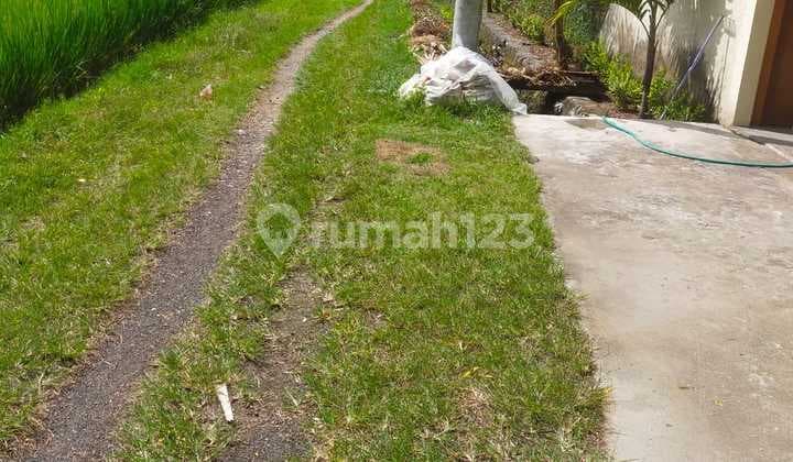 Hot List Di Jual Tanah Lokasi Nyambu Kaba Kaba Kediri Tabanan