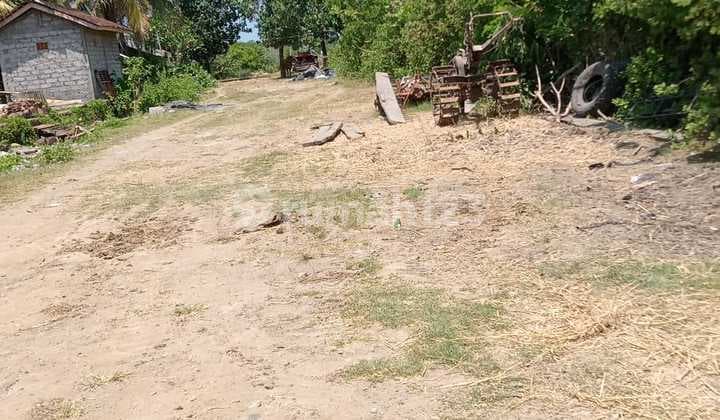 Hot List Di Jual Tanah Lokasi Budeng Jembrana