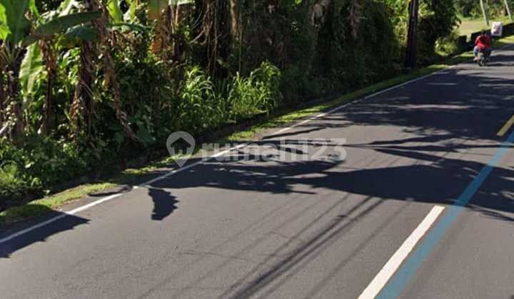 Hot List of Roadside Land for Sale in Luwus Baturiti Tabanan Location