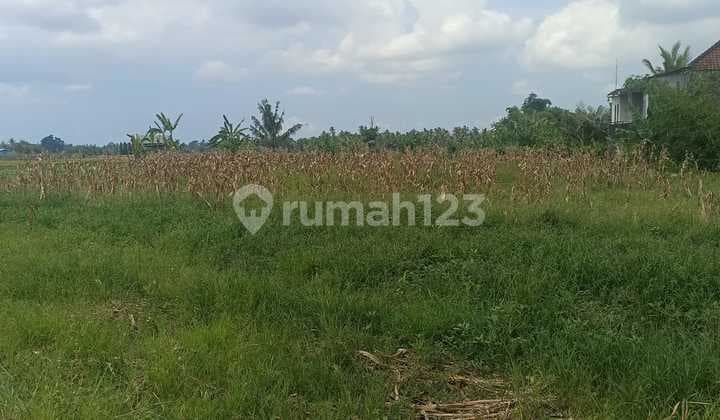 Hot List Di Jual Tanah Lokasi Mambal Abiansemal Badung