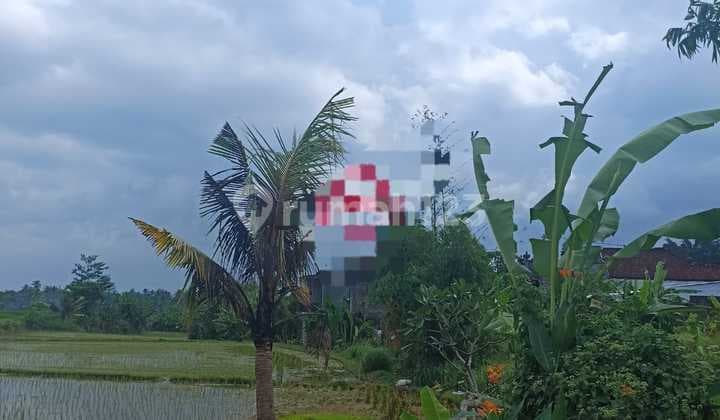 Hot List Di Jual Tanah Lokasi Mambal Abiansemal Badung