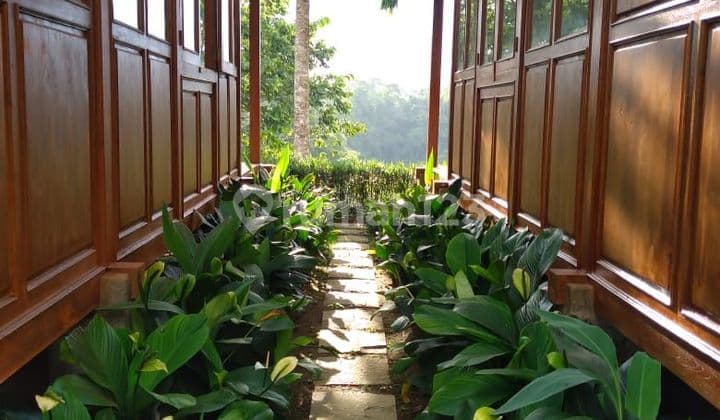 TOP URGENT DI JUAL VILLA COMPLEX TYPE JOGLO VIEW HUTAN LOKASI PAYANGAN UBUD GIANYAR