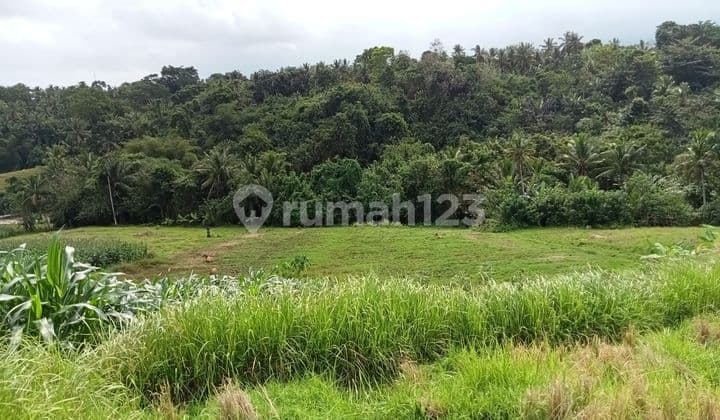 TOP URGENT DI JUAL TANAH LOKASI KLECUNG TEGAL MENGKEB TABANAN