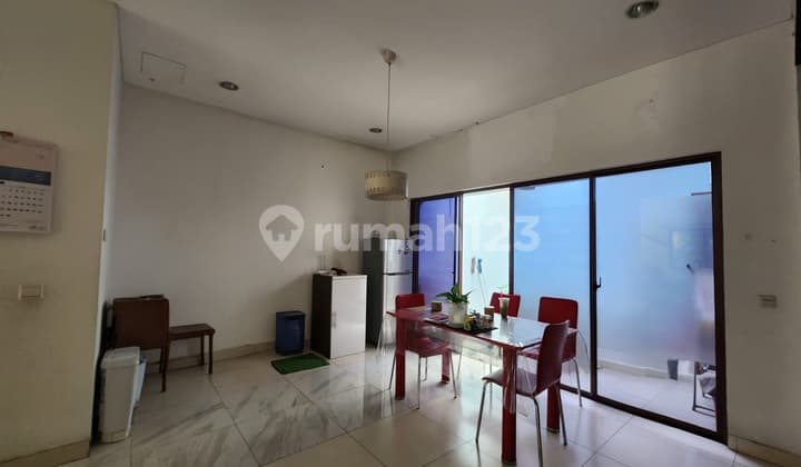 Zebrina.jgc Rapu.jual.cepat