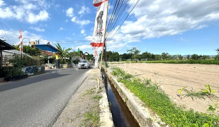 Tepi Jalan Aspal Lebar, Tanah Murah Jogja Siap Bangun