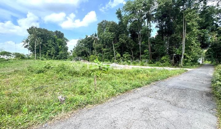 Tanah Pekarangan Belakang Kampus UII Yogyakarta