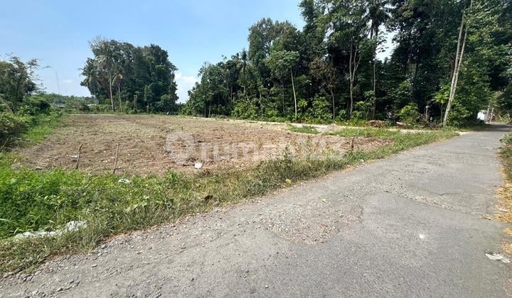 Cocok Bangun Kos, Tanah Sleman Jogja Belakang Kampus