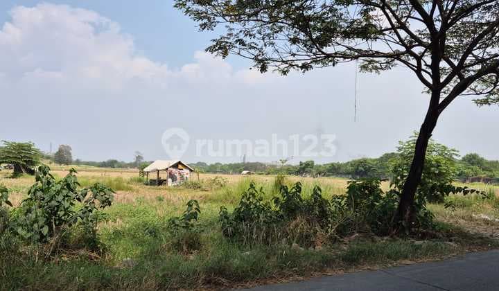 Dijual Tanah Lokasi Strategis di Cikarang
