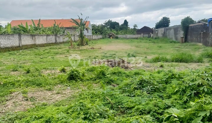 For Sale Land Plots in Kenyeri Area Denpasar Strategic Location Bali