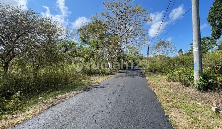 Dijual Tanah Kavling yang Berlokasi di Binginsari Unud Jimbaran