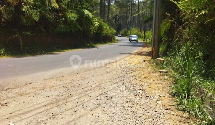 For Sale Tanah Matang di Kawasan Wisata Cikole Lembang