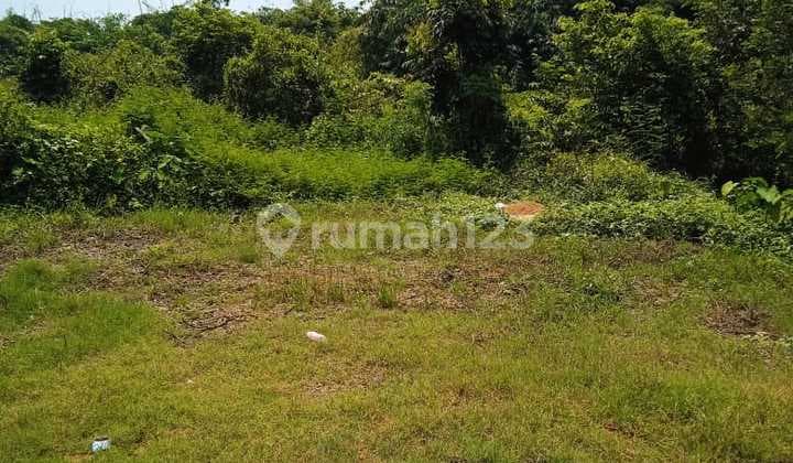 Di Jual Kavling di Subang Cocok Utk Peternakan Ayam