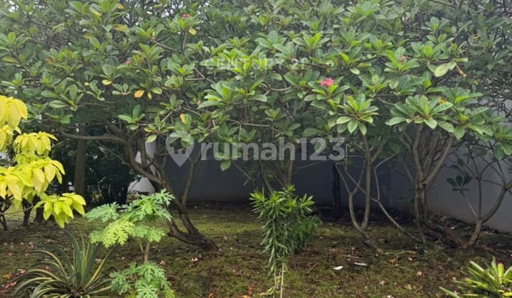 Dijual Kavling Dalam Cluster di Sektor 9 Bintaro Wt17543