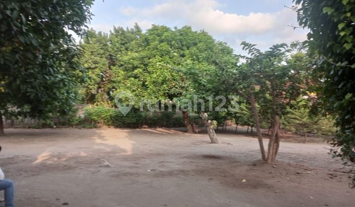 For Sale Land Calculation Roadside House in Kediri East Java