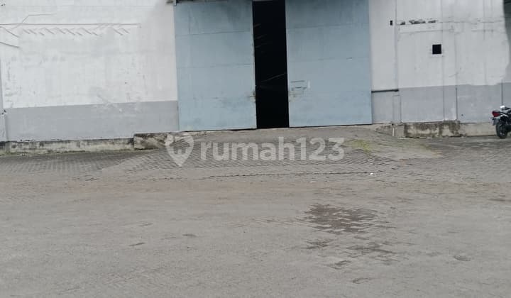 Ready-to-Occupy Warehouse in a Very Strategic Location