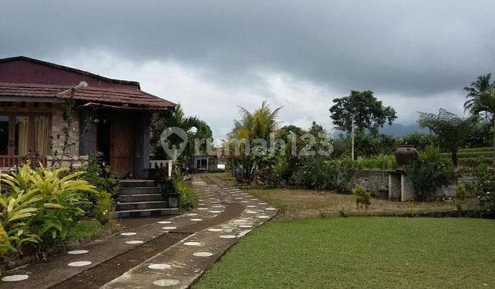 turun harga! Villa Di Lahan Luas Terdiri Atas 4 Villa, Sawah & Kolam