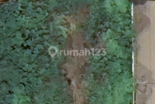 Disewakan Tanah Pluit