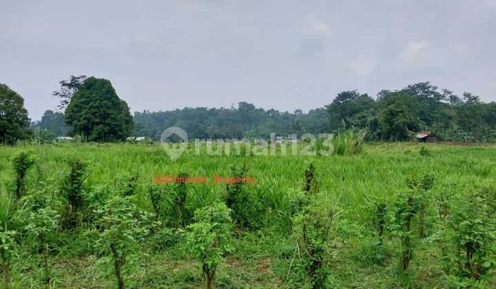 Tanah 16000 M2 SHM Wanayasa, Purwakarta