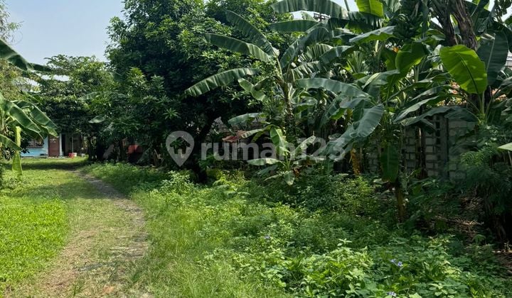 Tanah + Bangunan Luas 1000M² di Jl. Batu Ceper Tangerang (M1)