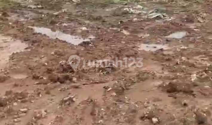 Tanah Datar Siap Pakai Luas 2Ha di Jl. Raya Panongan Curug Tangerang (Hn)