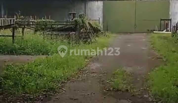 Gudang luas tanah 10.750m² di jl. Curug Bitung kab. Lebak Tangerang
