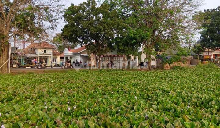 Tanah Sawah Luas 3Ha di Jl. Raya Sepatan Kec. Pakuhaji Kab. Tangerang