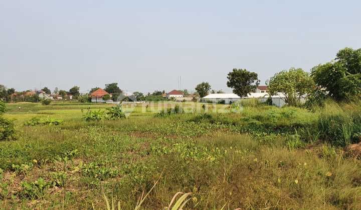 Tanah Darat Luas 5Ha Dekat Tangerang Regency Kec.kresek Perbatasan Tangerang Serang (Hw)