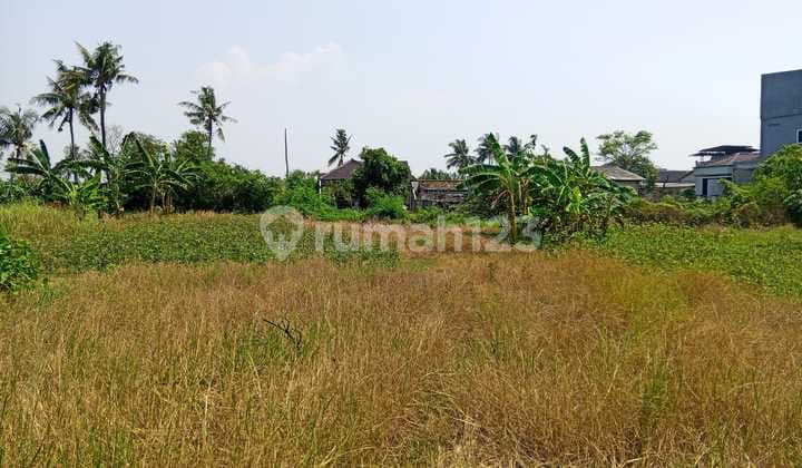 Tanah Darat Luas 3900M² di Jl. Salembaran Kec. Kosambi Kab. Tangerang (Mh)