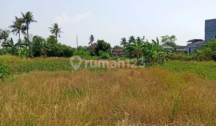 Tanah Darat Luas 3900M² di Jl. Salembaran Kec. Kosambi Kab. Tangerang (Mh)