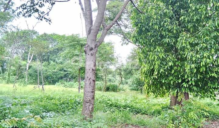 Tanah Darat Luas 4345M² di Jl. Kapuk Raya Kec. Penjaringan Jak-Ut