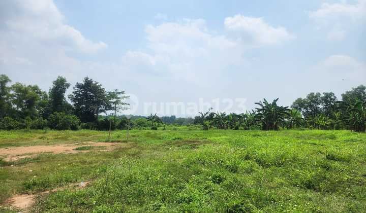 Tanah Datar Luas 68,5H di Kp. Cileles Bantar Panjang Kec. Tigaraksa Tangerang (Hn)