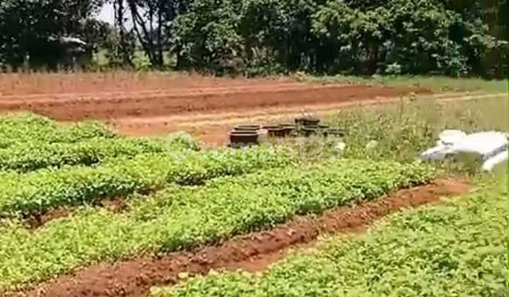 Tanah Sawah Kering Luas 5700m² di Serpong Utara Tangerang Selatan