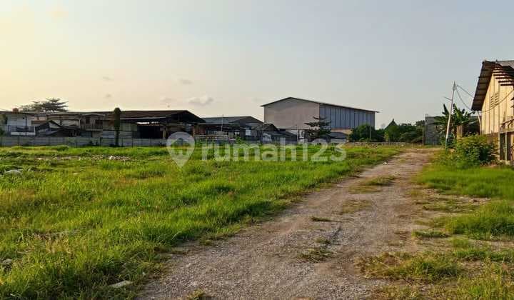 Land Area 1.4 ha, Already Paneled at Jl. Kapuk Peternakan, Penjaringan Subdistrict, North Jakarta