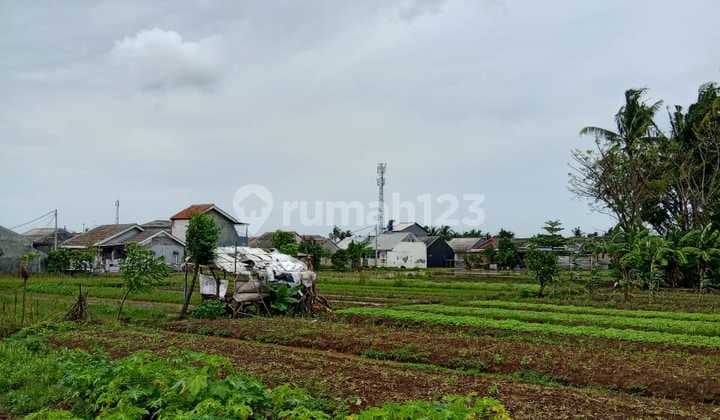 Tanah Sawah Luas 1,6Ha di Jl. Gempol Sari Kec.sepatan Timur Kab. Tangerang