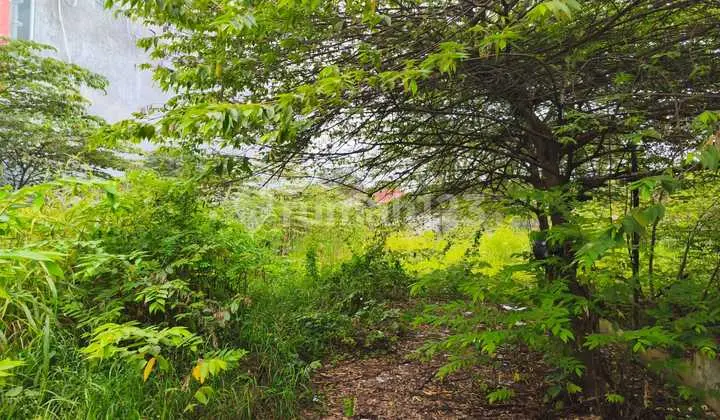 Wide Land Area 2000M² on Jl. Raya Salembaran, Kosambi District, Tangerang Regency (Mh)