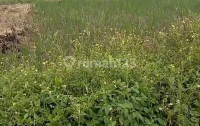 Tanah Darat Luas 12Ha di Kresek Kab. Tangerang (Hc)