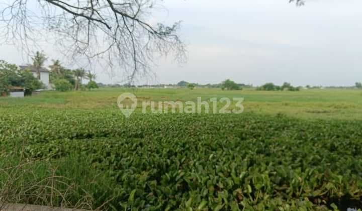 Tanah Sawah Luas 100H di Jl. Kresek Tangerang (Mn)