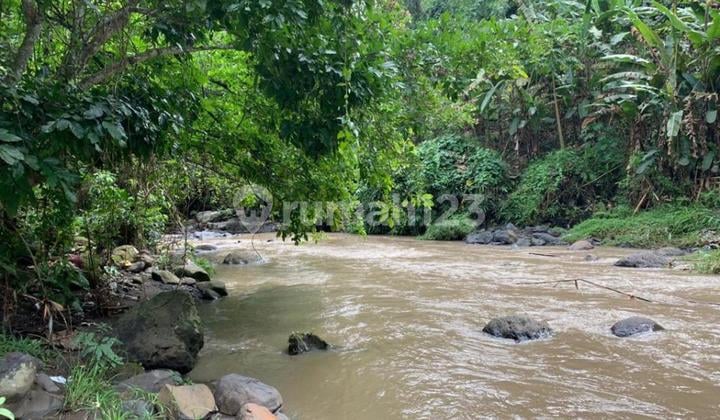 Quick Sale River Plot Land Suitable for Villas in Tabanan