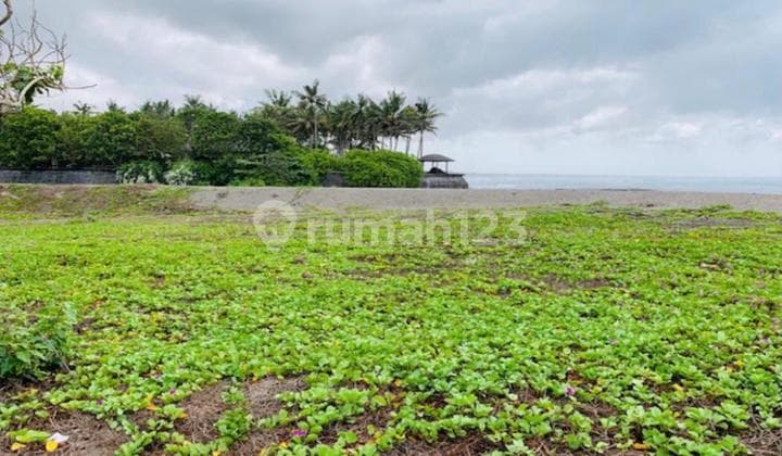 Dijual Cepat Tanah Beachfront View Ocean di Pantai Cemagi, Canggu