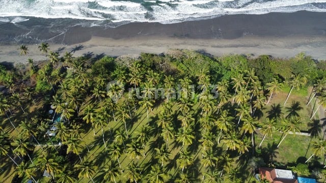 Jual Cepat Tanah Beachfront di Jembrana, Bali