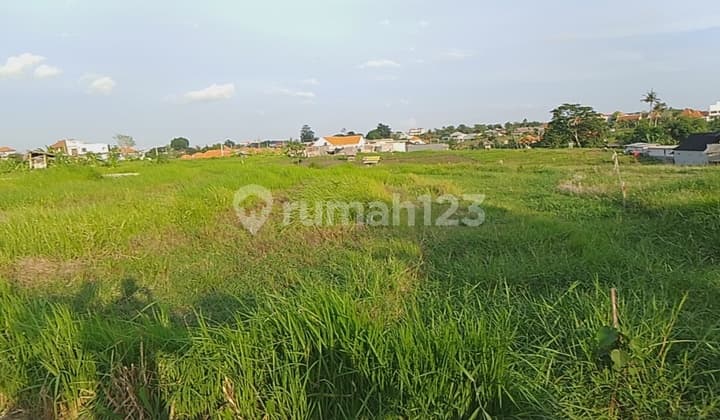 Dijual Cepat Tanah Murah Lingkungan Villa di Berawa-Canggu