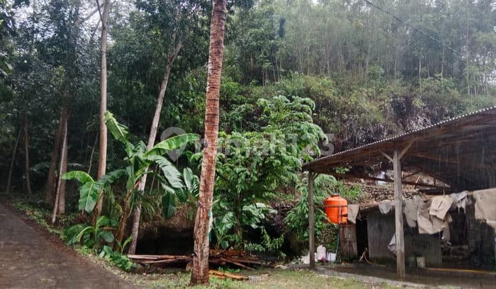 Tanah Di Jalan Raya Pantai Baron Jual Cepat Cocok Untuk Hotel, Homestay Dan Usaha Rejosari Gunung Kidul