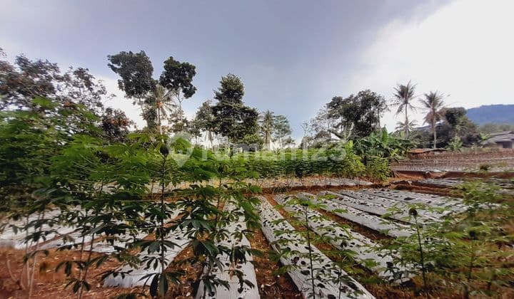 Dijual Lahan luas 6500mtr untuk investasi ranca bungur Bogor