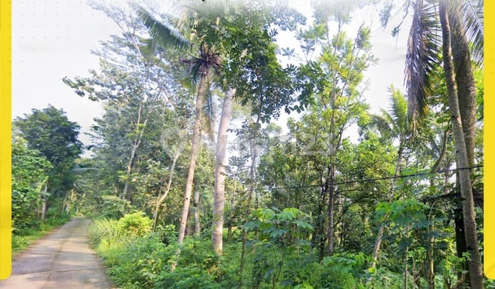 Di Jual Tanah di Ampel, Boyolali, Boyolali