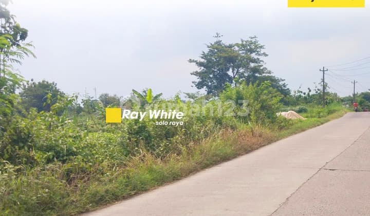 Di Jual Tanah di Jl. Mangu,Nogosari