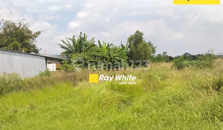 Land for Sale in Waru, Baki Sukoharjo