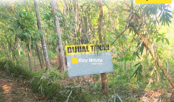 For Sale: Land in Kerjo Lor, Ngadirojo, Wonogiri