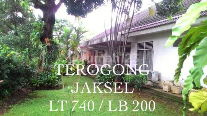 Rumah Asri Tenang di Terogong Jaksel