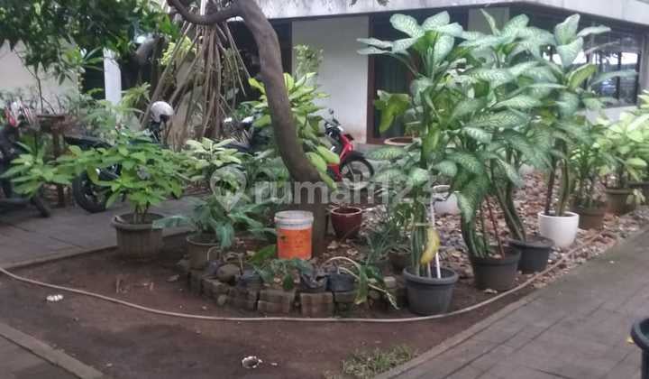 Rumah Unfurnished SHM Cempaka Putih, Jakarta Pusat Hitung Tanah